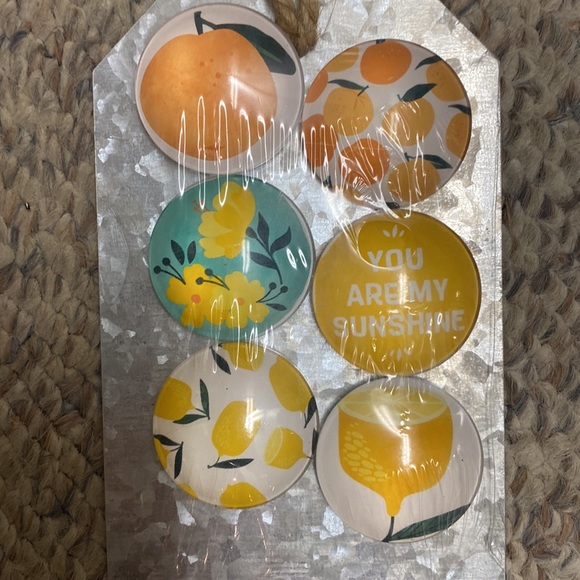 CBK Citrus Magnet Set of 6 - Picture 3 of 3